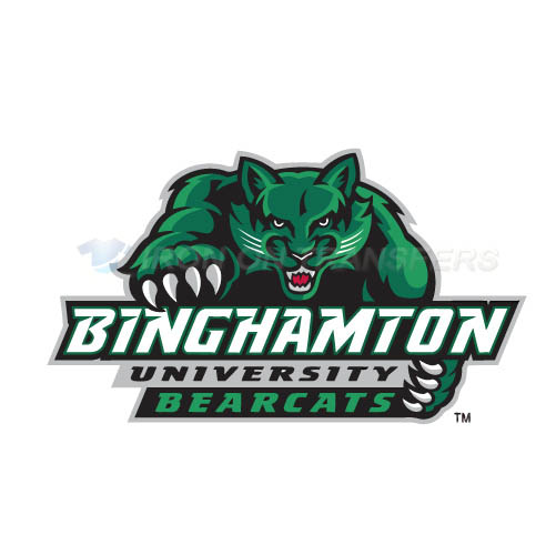 Binghamton Bearcats 2001 Pres Alternate Logo T-shirts Iron On Tr - Click Image to Close